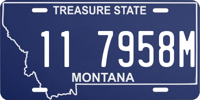 MT license plate 117958M