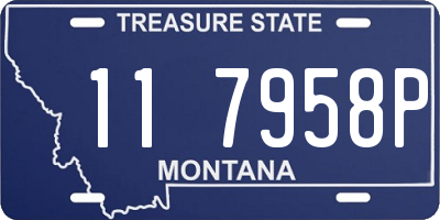 MT license plate 117958P