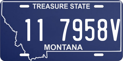 MT license plate 117958V