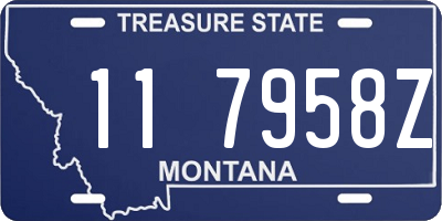 MT license plate 117958Z