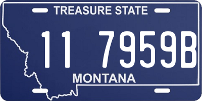 MT license plate 117959B