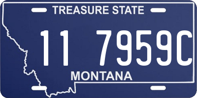 MT license plate 117959C