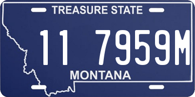 MT license plate 117959M