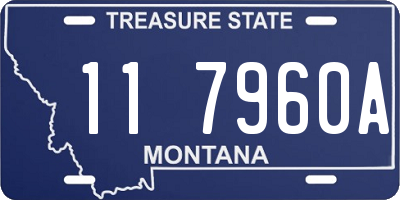 MT license plate 117960A