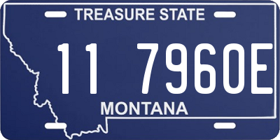 MT license plate 117960E