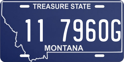MT license plate 117960G