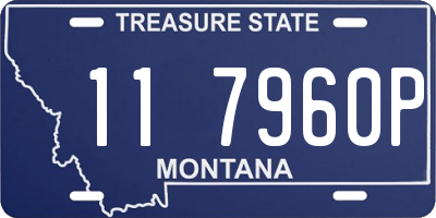 MT license plate 117960P