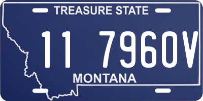 MT license plate 117960V