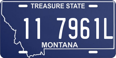 MT license plate 117961L