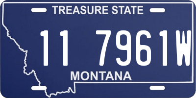 MT license plate 117961W