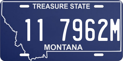 MT license plate 117962M