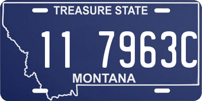 MT license plate 117963C