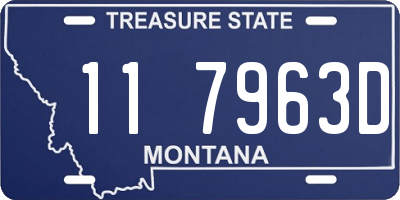 MT license plate 117963D
