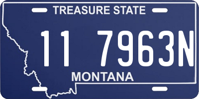 MT license plate 117963N