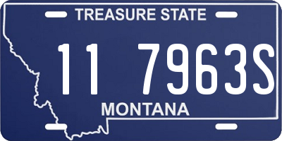 MT license plate 117963S