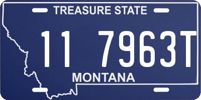 MT license plate 117963T
