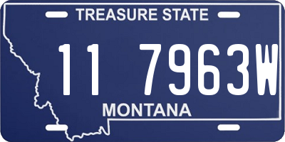 MT license plate 117963W