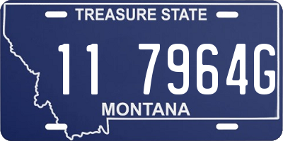 MT license plate 117964G