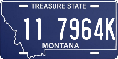 MT license plate 117964K