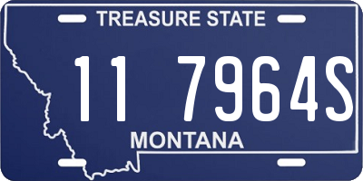 MT license plate 117964S