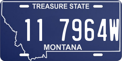 MT license plate 117964W