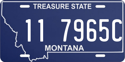MT license plate 117965C