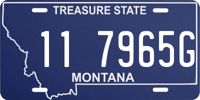 MT license plate 117965G