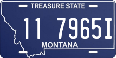 MT license plate 117965I
