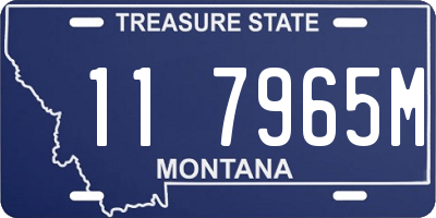 MT license plate 117965M