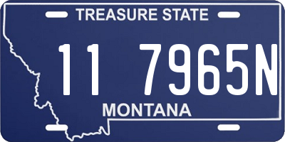 MT license plate 117965N
