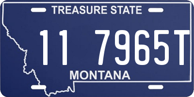 MT license plate 117965T