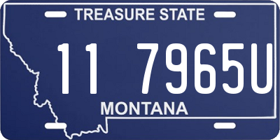 MT license plate 117965U