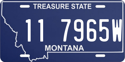 MT license plate 117965W