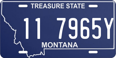 MT license plate 117965Y