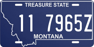 MT license plate 117965Z