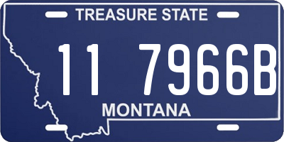 MT license plate 117966B
