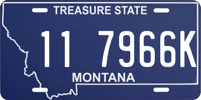 MT license plate 117966K