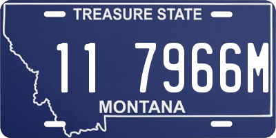 MT license plate 117966M