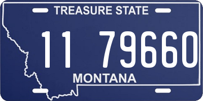 MT license plate 117966O
