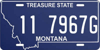MT license plate 117967G