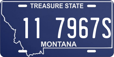 MT license plate 117967S