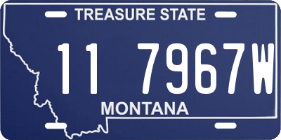 MT license plate 117967W
