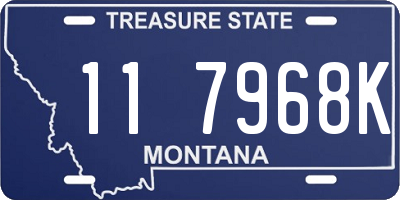 MT license plate 117968K