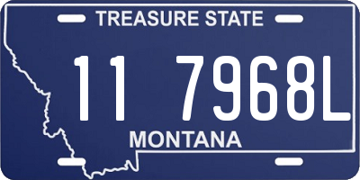 MT license plate 117968L
