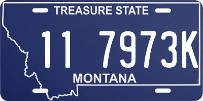 MT license plate 117973K