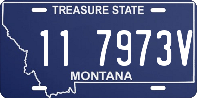 MT license plate 117973V