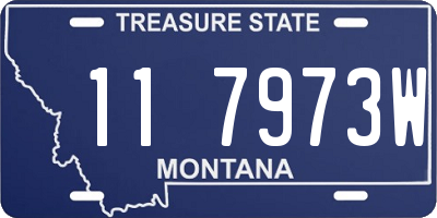 MT license plate 117973W