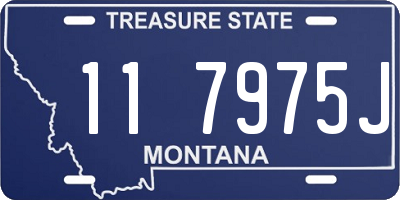 MT license plate 117975J