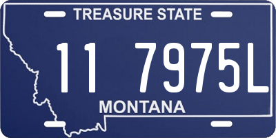 MT license plate 117975L