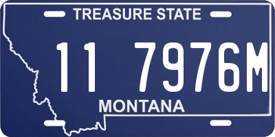 MT license plate 117976M
